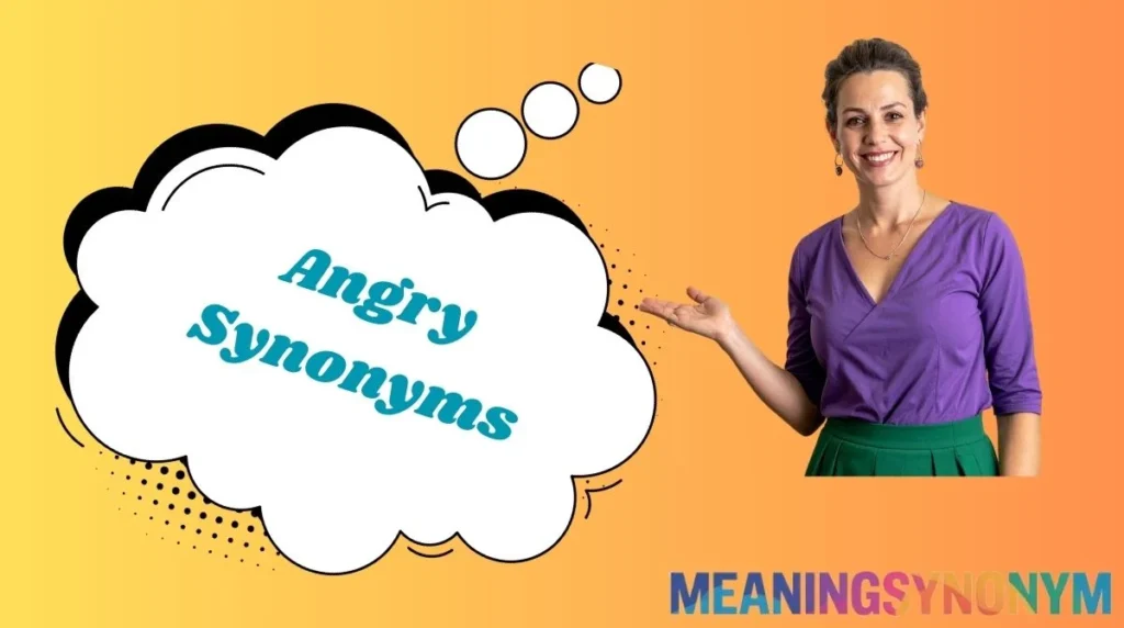 Angry Synonyms