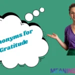Synonyms for Gratitude