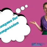 Synonyms for Compassion