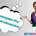 Synonyms for Comprehensive