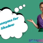 Synonyms for Shadow
