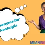 Synonyms for Nostalgia