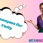 Synonyms for Unity